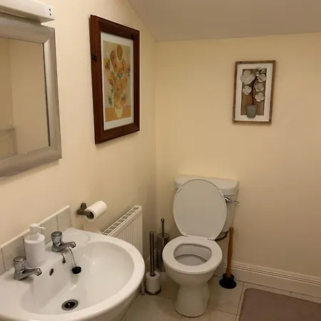 Lough Rinn - Mac Raghnaill Court