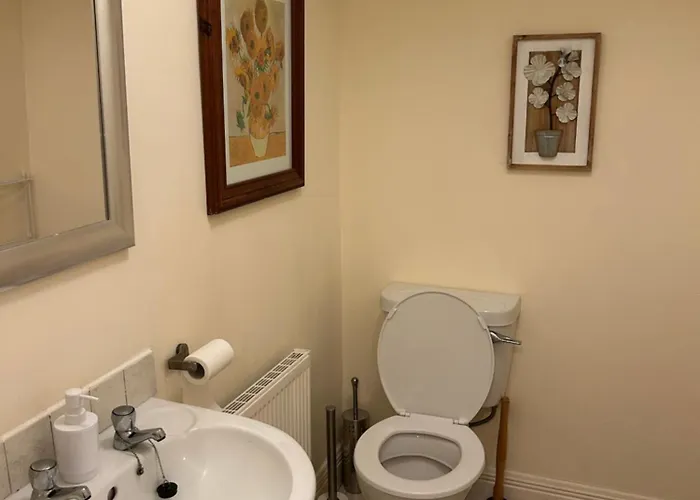 Lough Rinn - Mac Raghnaill Court